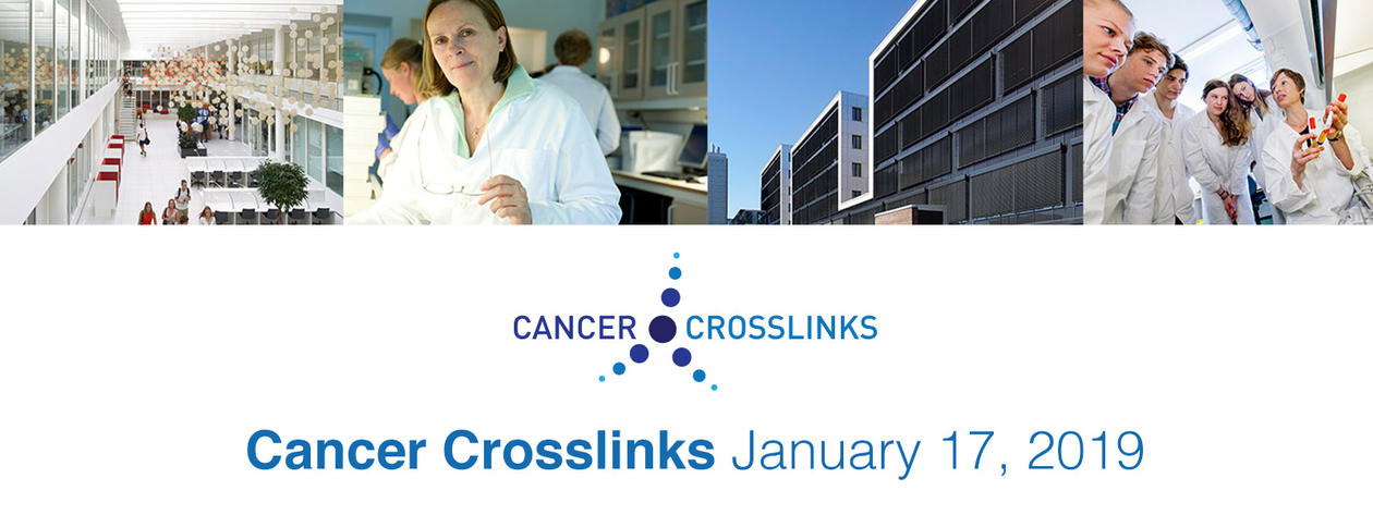 Cancer Crosslinks' logo