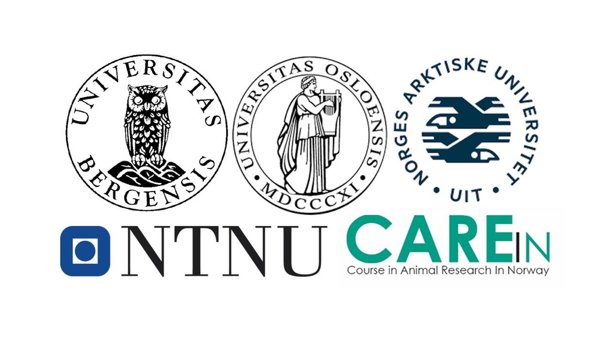 COURSE in ANIMAL RESEARCH in NORWAY