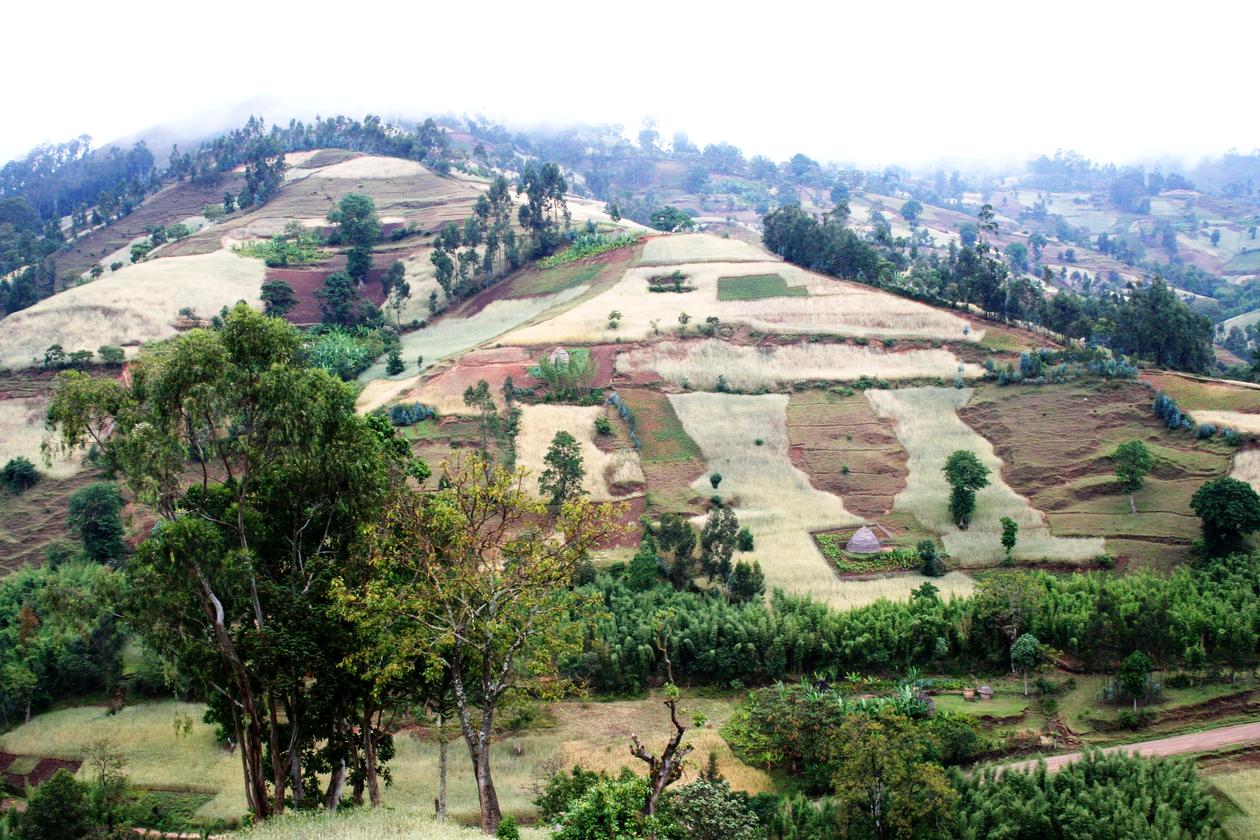 Gates Funds Ethiopian Health Priorities Project Global Health