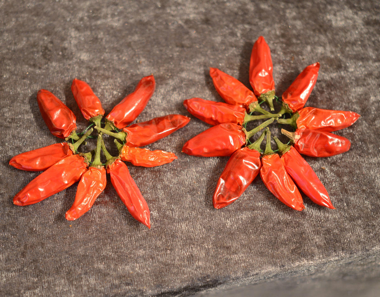 Chili med flotte farger.