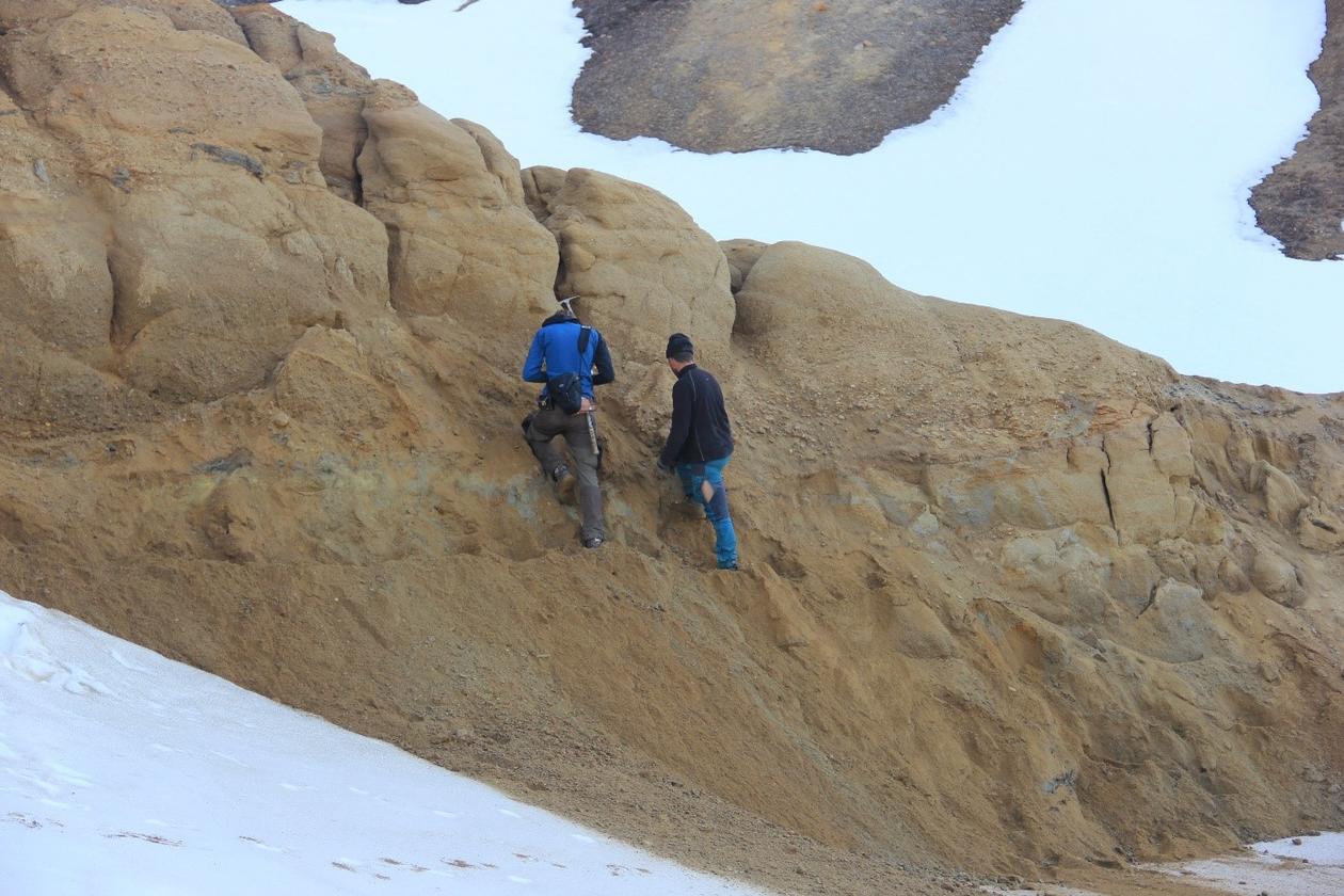 Sampling in a turbidite sandstone at Greenland