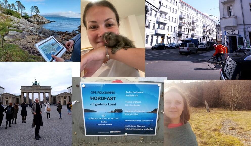 Ulike bilder fra feltarbeid