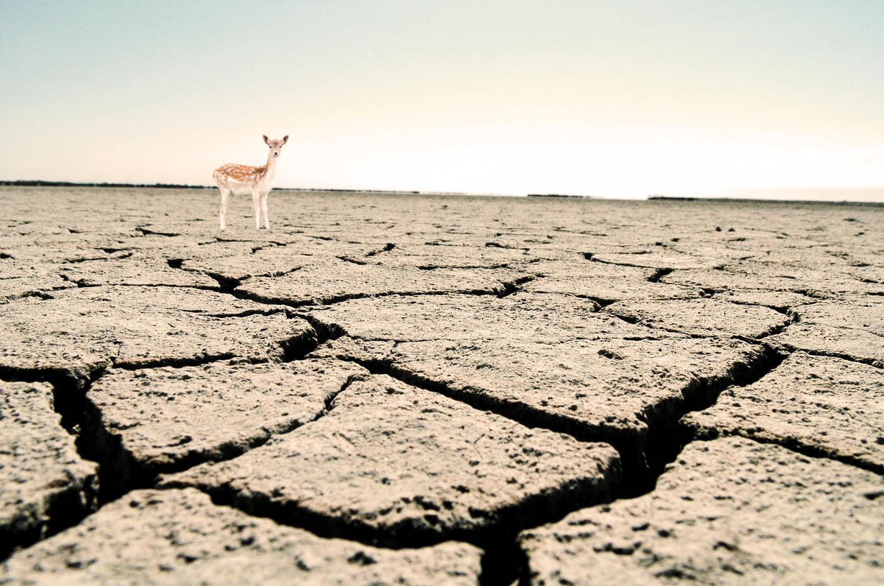 Illustrasjon VIT212 Klimaendringer