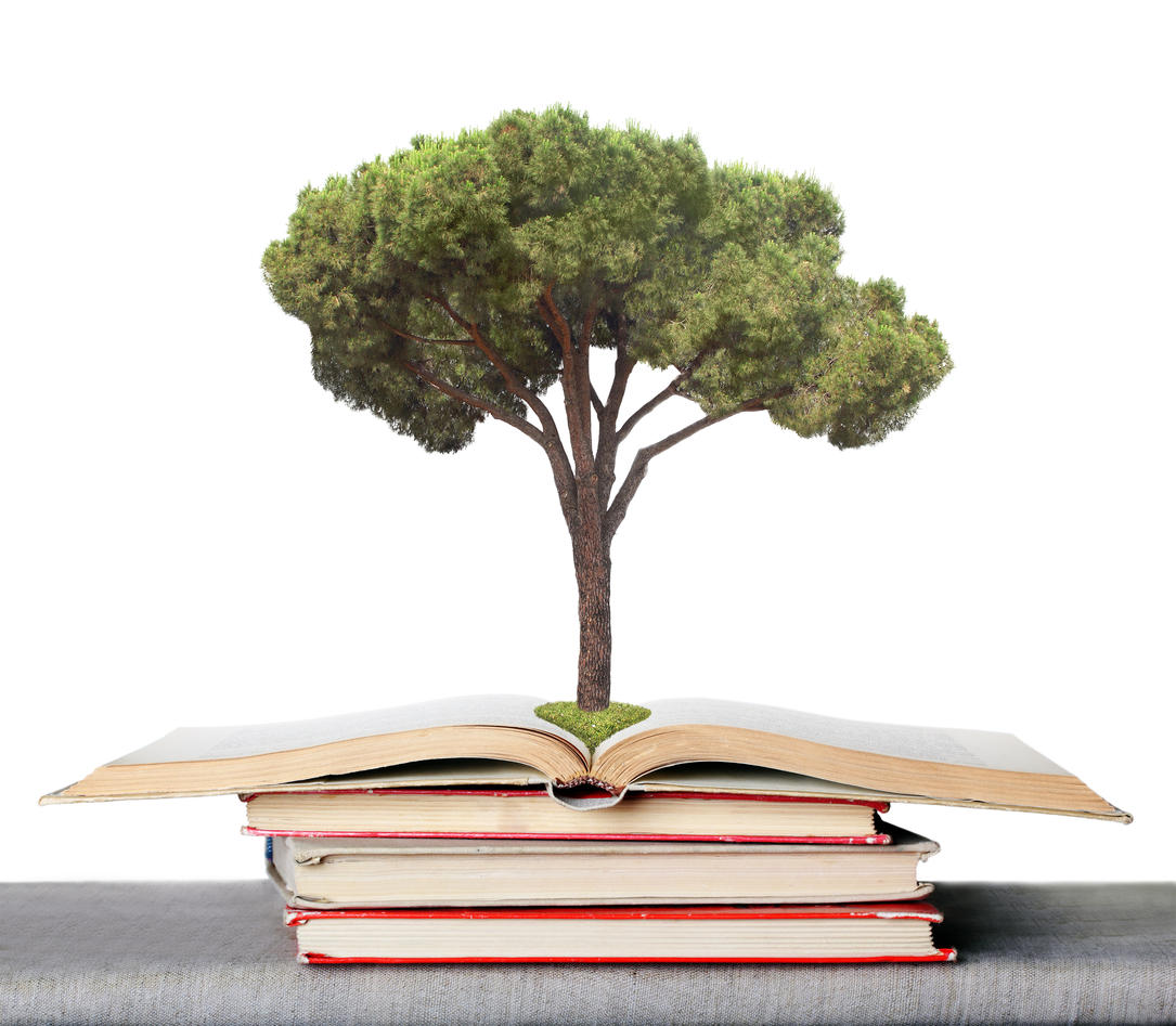 A tree inside a book. 