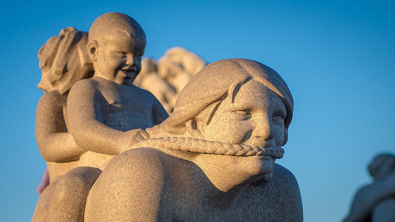 The European Backlash