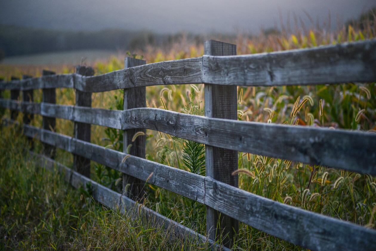 A wooden fence with tall grass on the one side