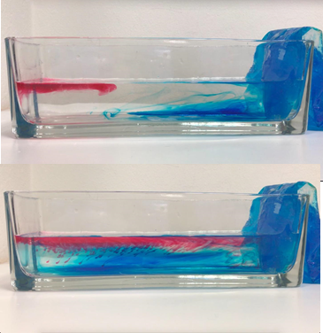 Termohalin sirkulasjon