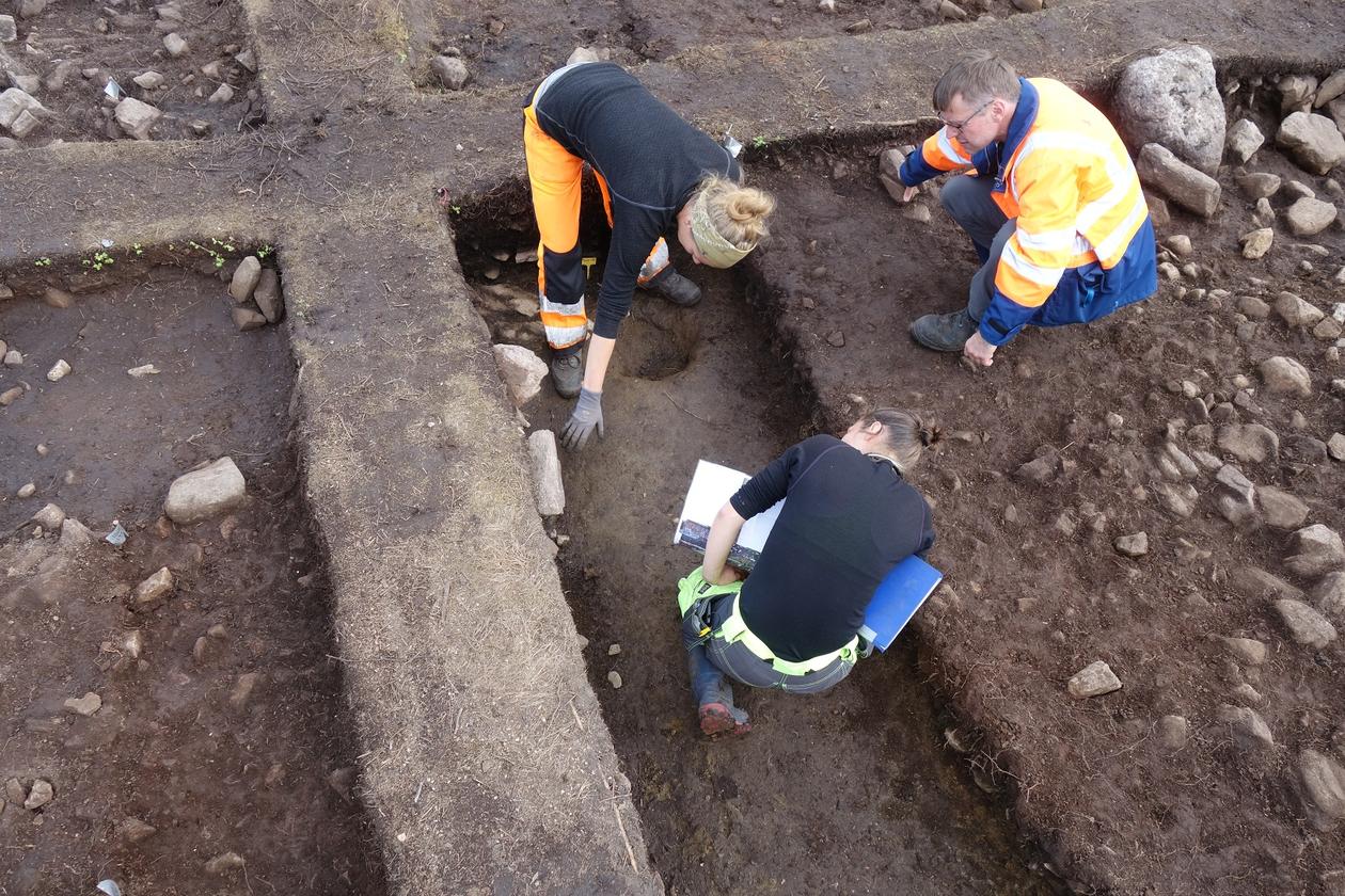 Projekt- og feltledare diskuterar