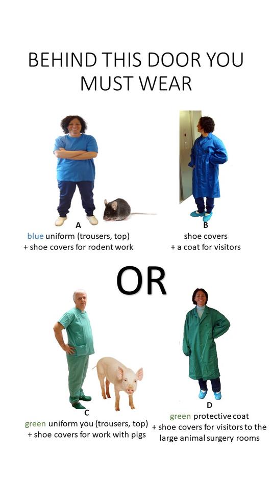 Bekledning i Dyreabvdelingen