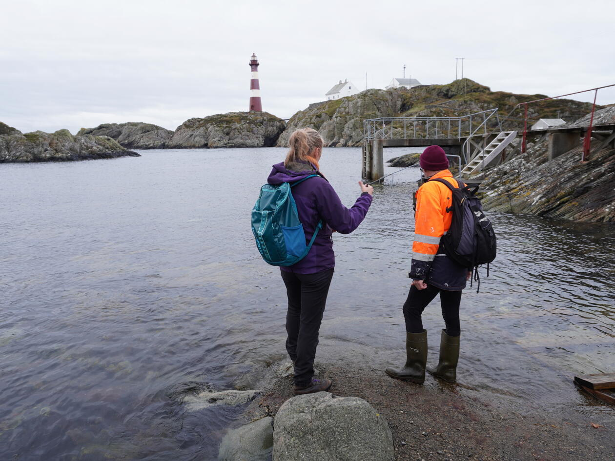 To turkledde personer står i vannkanten med ryggen til, og ser utover fjorden. Fyrtårn i bakgrunnen.