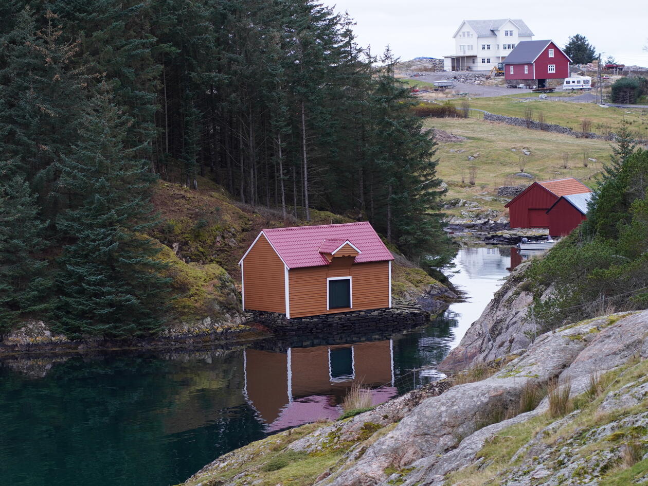 Gulmalt naust bygget helt nede i vannkanten, omgitt av stor, plantet granskog