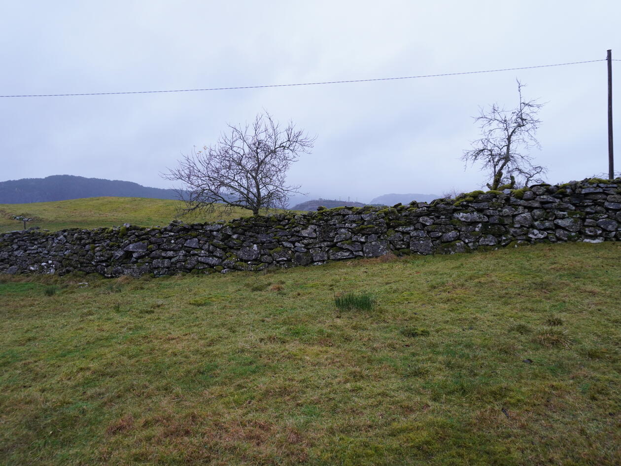 Tradisjonell steinmur skiller to grønne beitemarker fra hverandre.