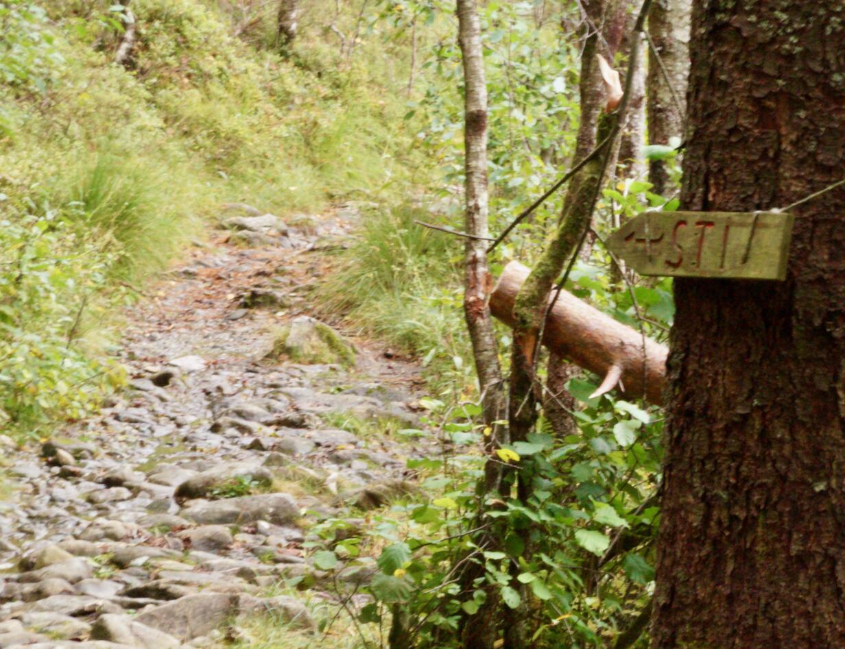 A rocky path