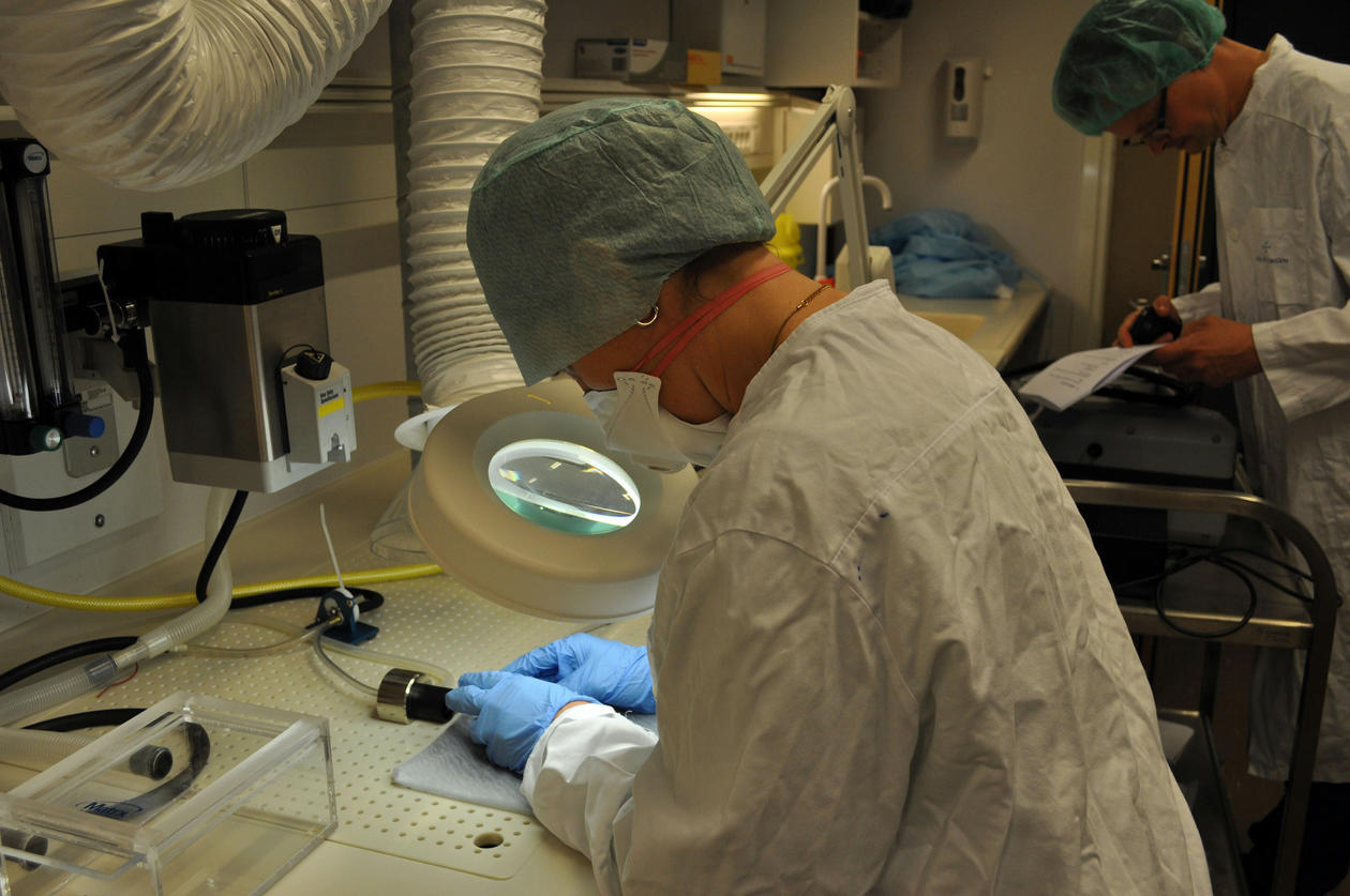 Gas anesthesia and safety issues The Laboratory Animal Facility UiB