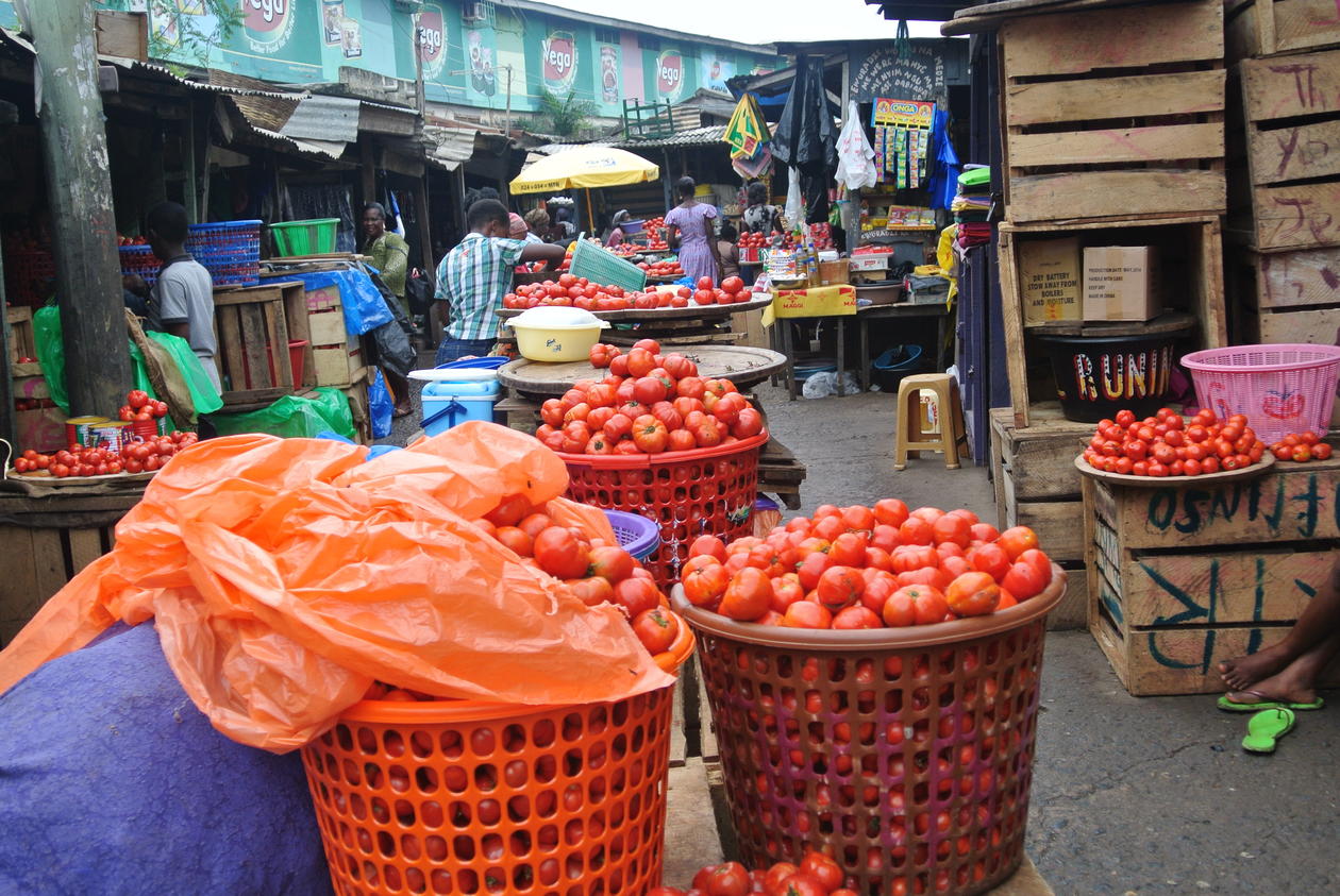 From field work in Ghana.
