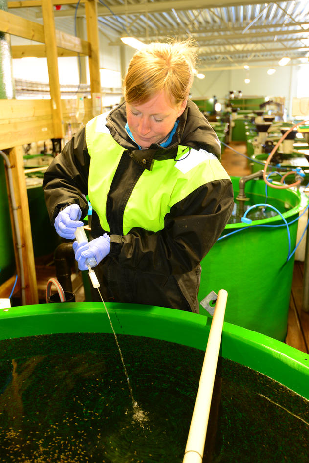 Irene Roalkvam vannfiltrering