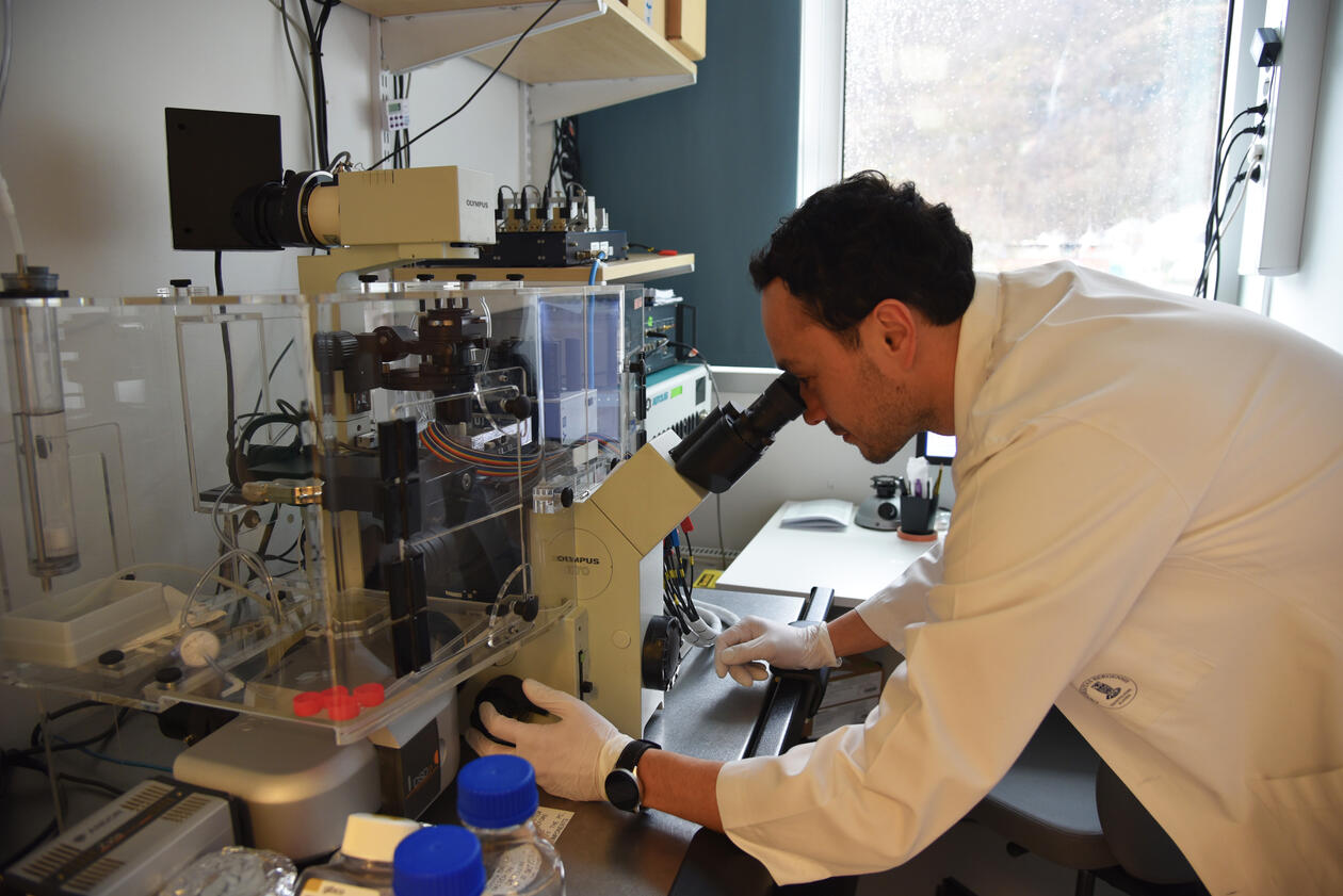Bilder av forskere på en lab på IKO med forskning på nanoteknologi og nanomaterialer