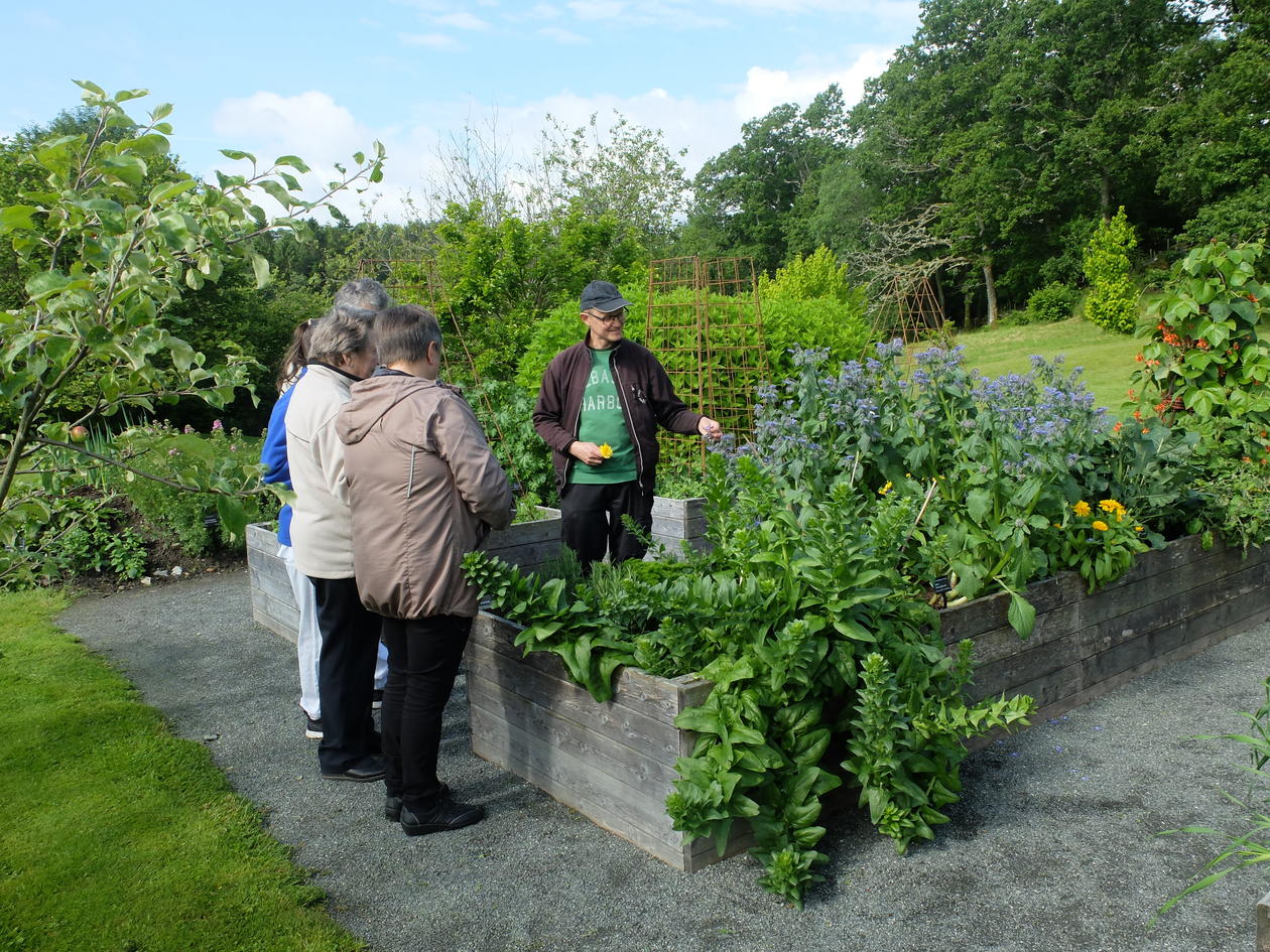 Tur i Botanisk hage