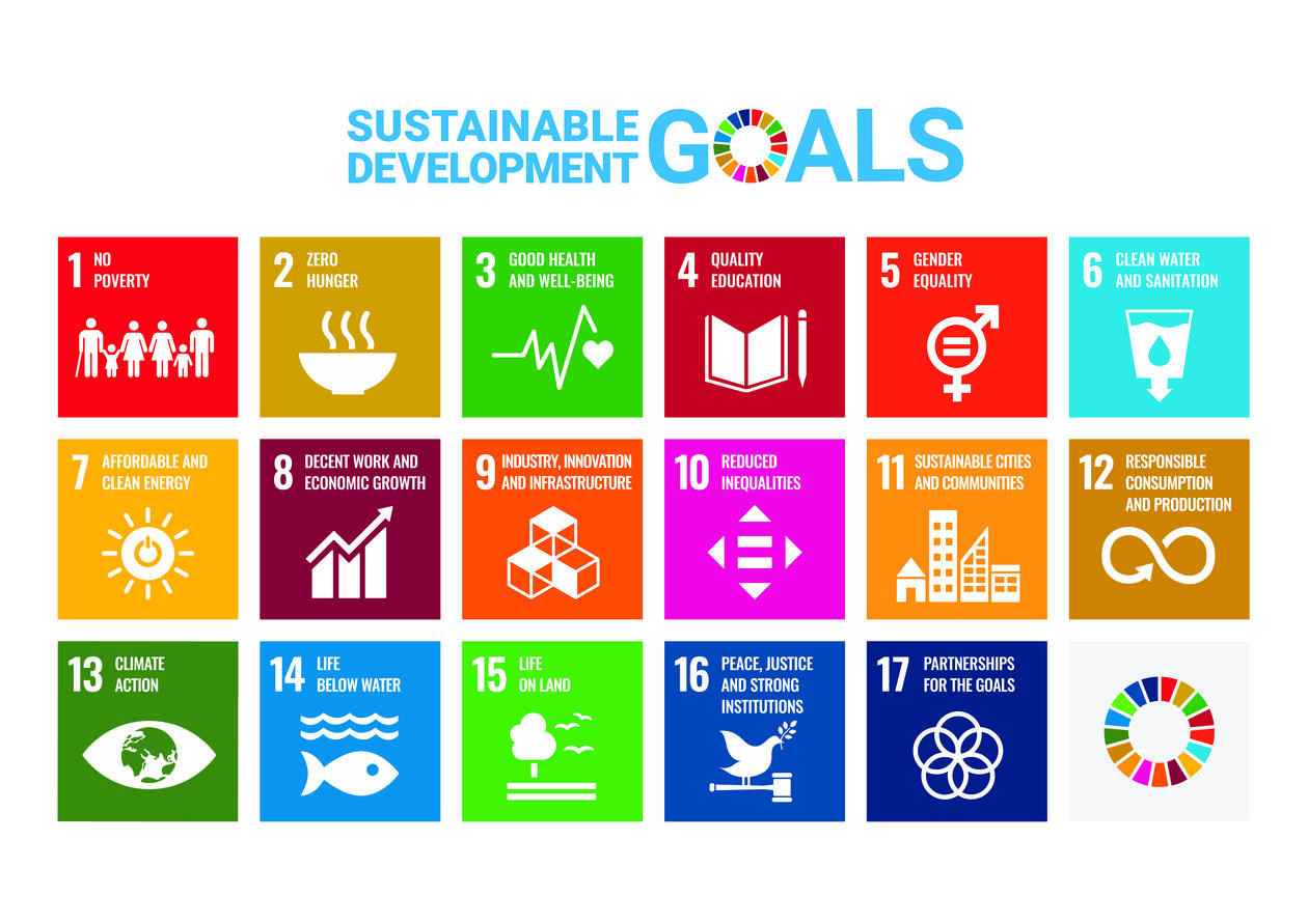 UN's poster of the Sustainable Development Goals.