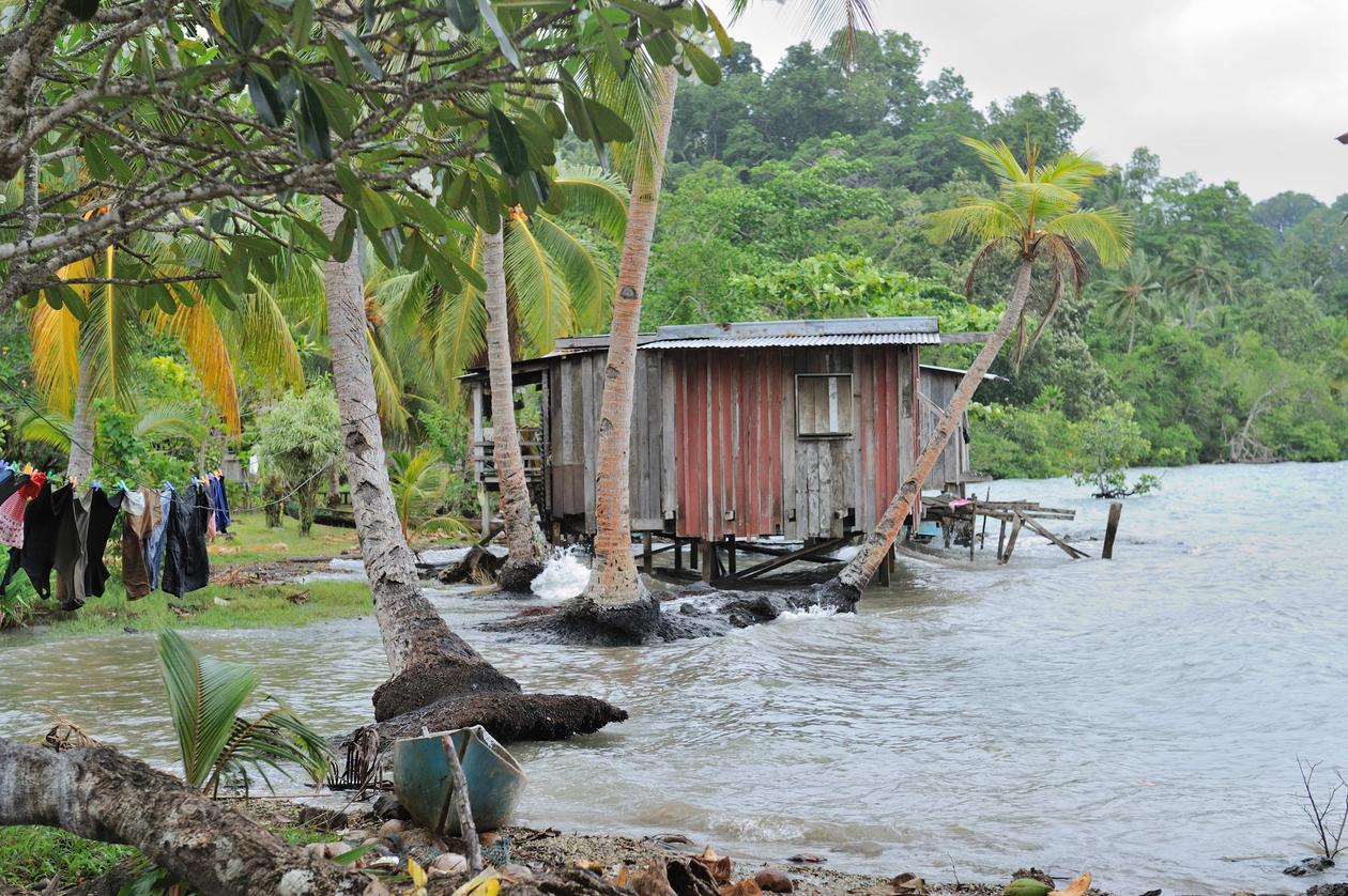 Photo by social anthropologist Edvard Hviding taken during fieldwork in the Marovo lagoon of Solomon Islands in 2010 showing a fast eroding village shore.
