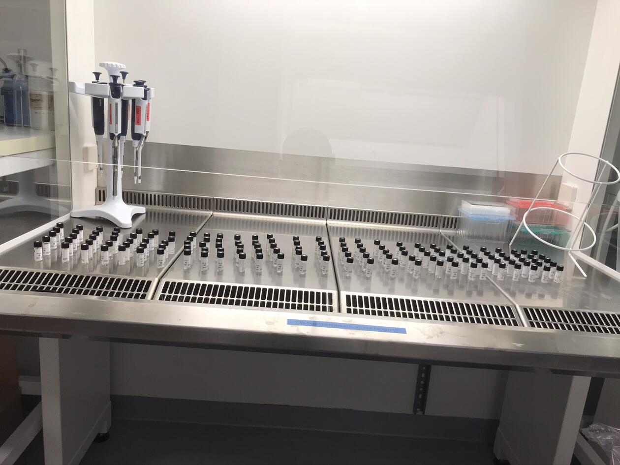 Ekstrakt fra støv til endotoxin analyser