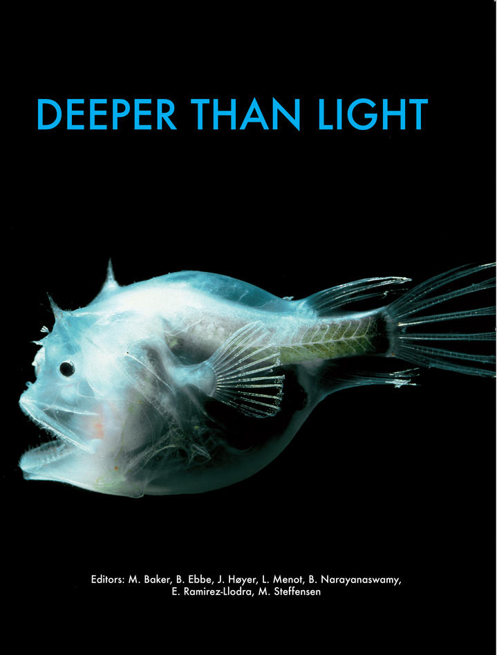 Deeper than light - English Depper htan light DESEO