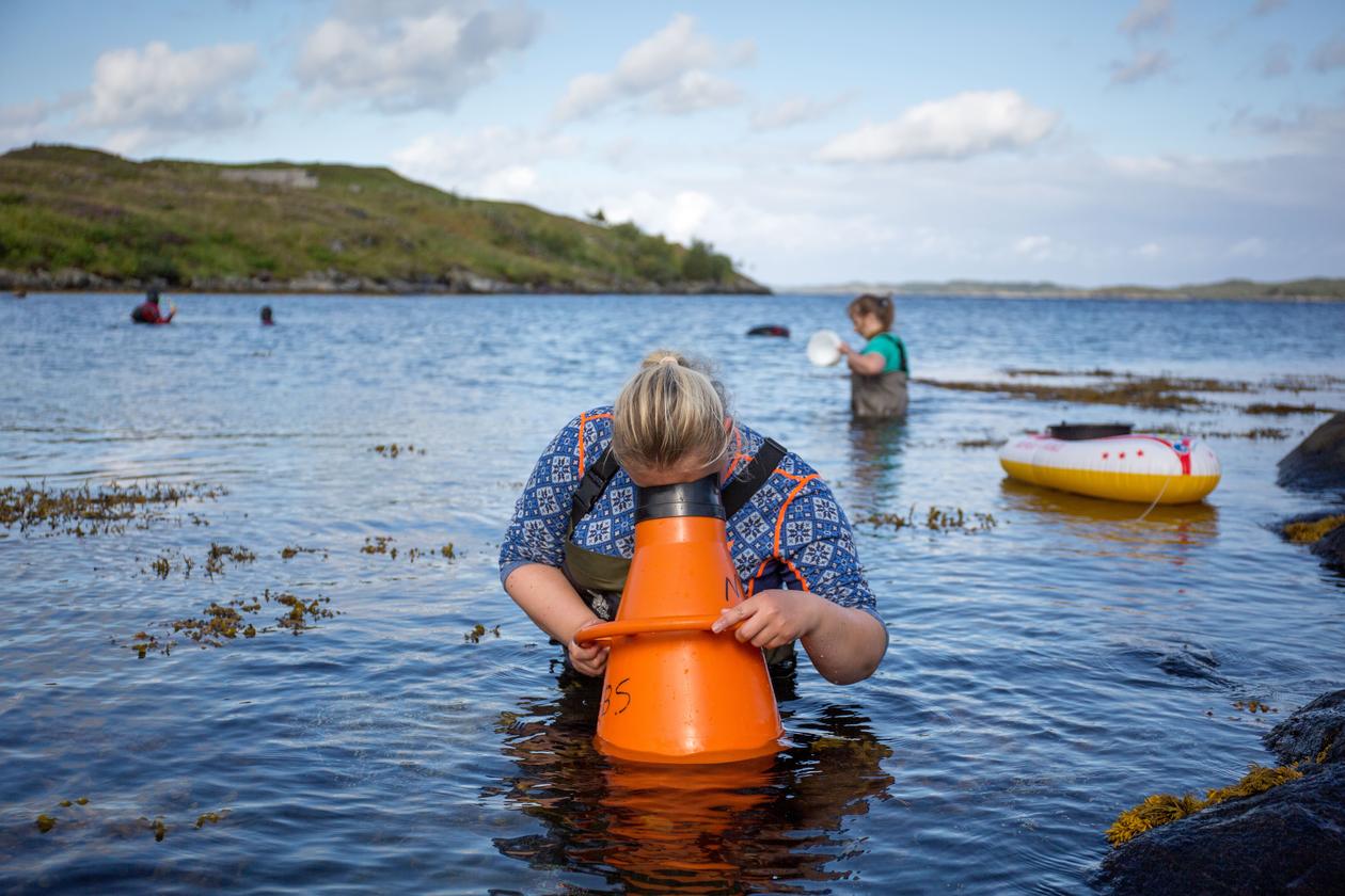 Biology students from the University of Bergen doing field work north of Bergen on the west coast of Norway.