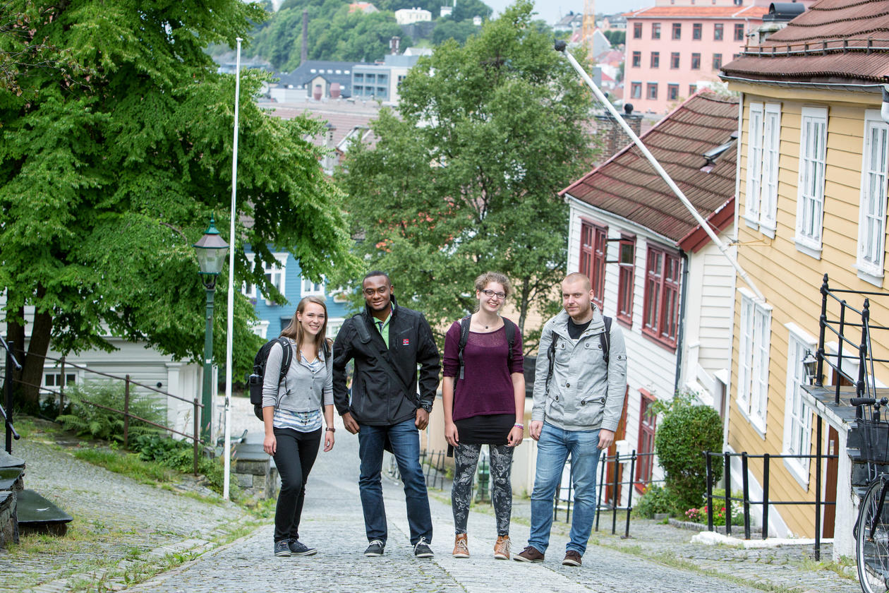 Four students standing in between the wooden houses close to Dragefjellet, the law faculty
