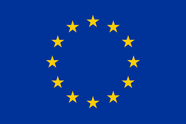 The EU flag - 12 yellow stars in a circle on a blue background