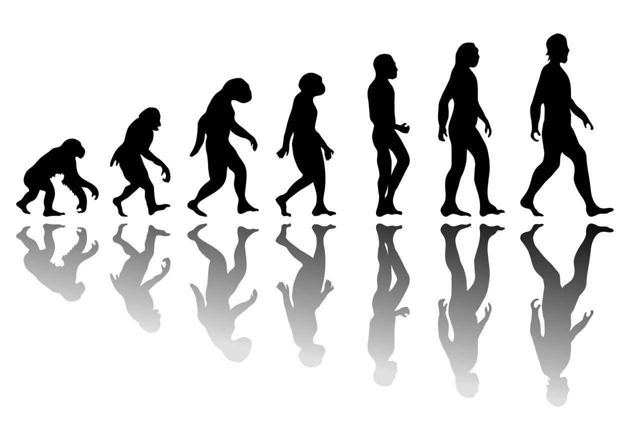 Evolusjon illustrasjon