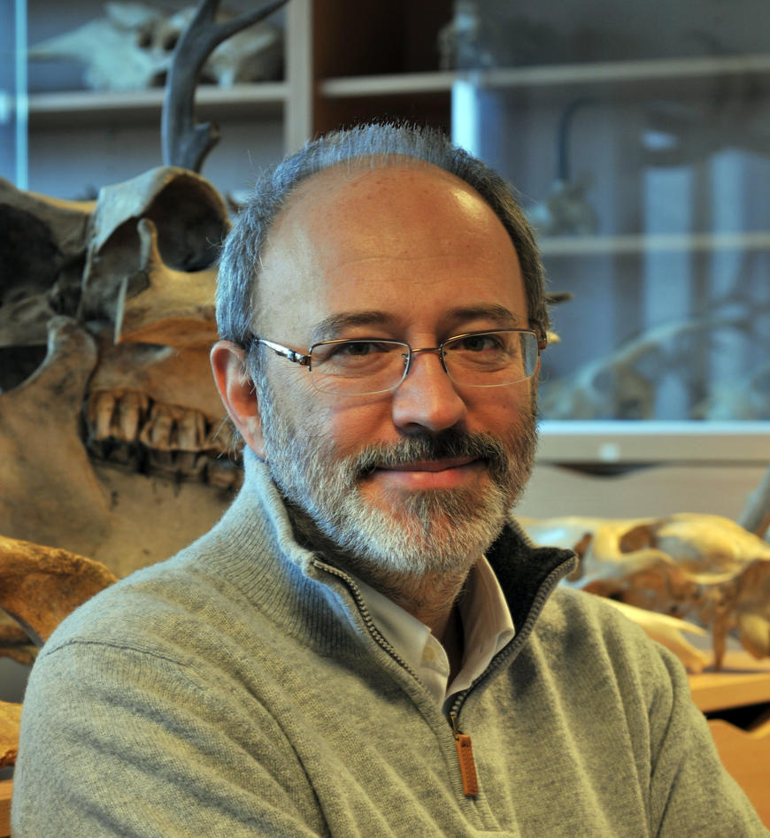     Professor Francesco d’Errico, Institutt for arkeologi, historie, kultur- og religionsvitenskap, UiB..