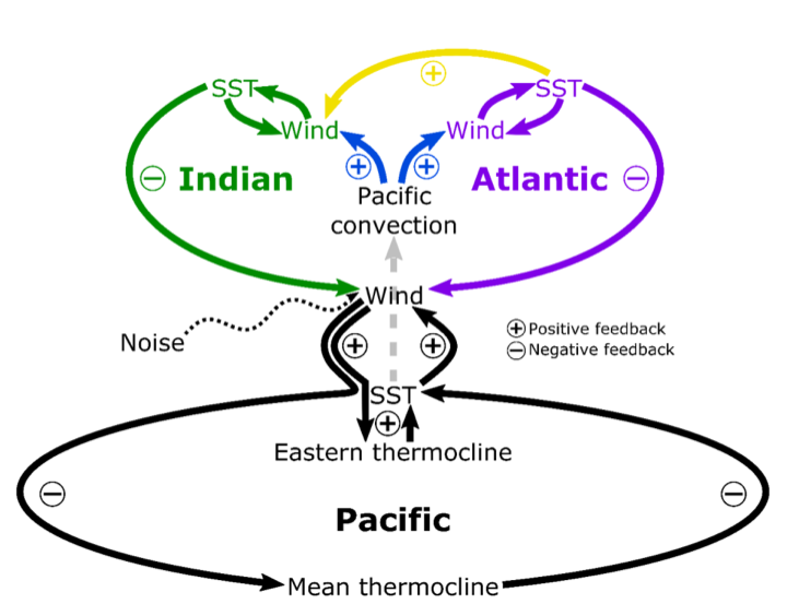 feedback_loops_pacific_atlantic_indian_oceans
