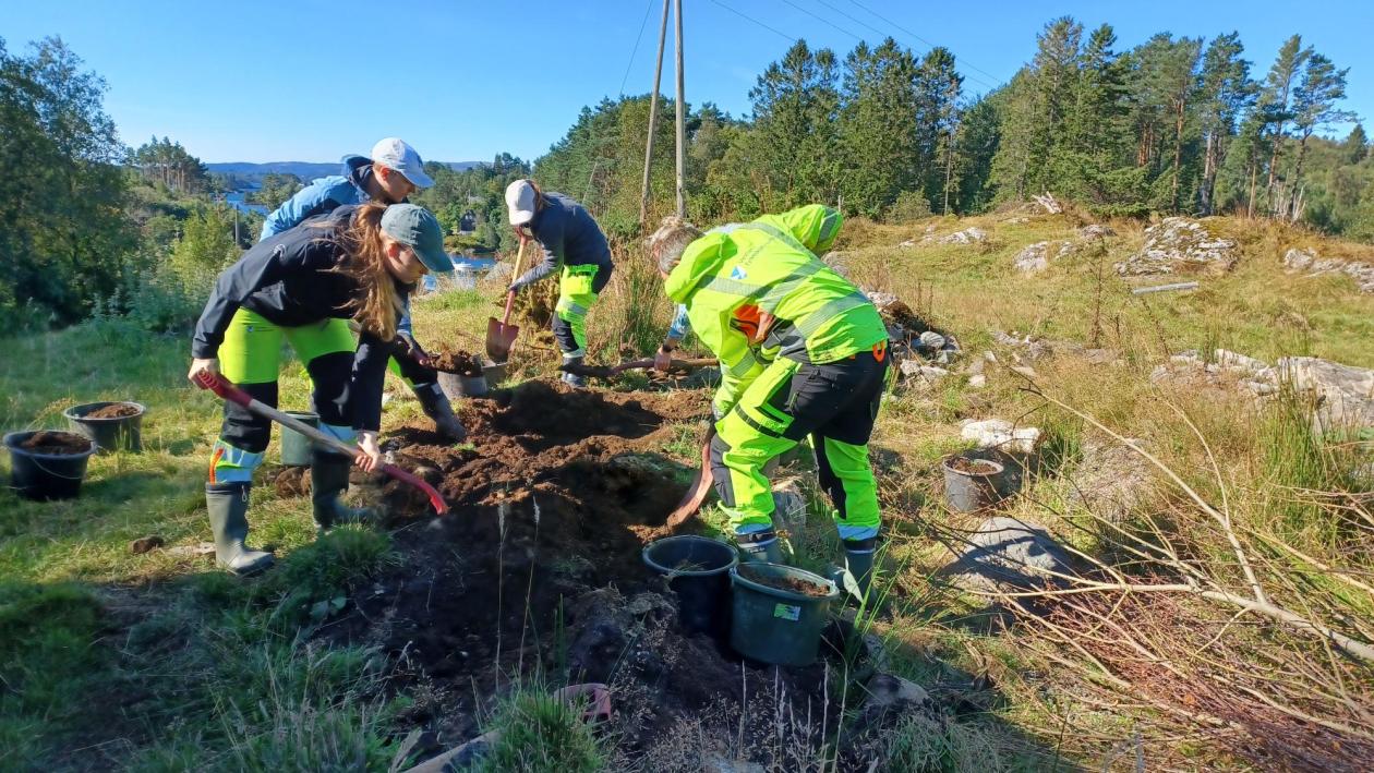 Bilde viser arkeologistudenter som graver i felt