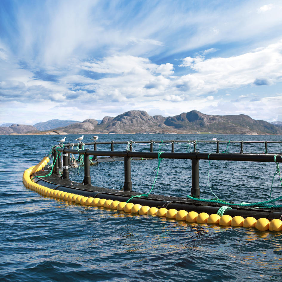 A fish farm on the background of mountains and blue sky with some clouds