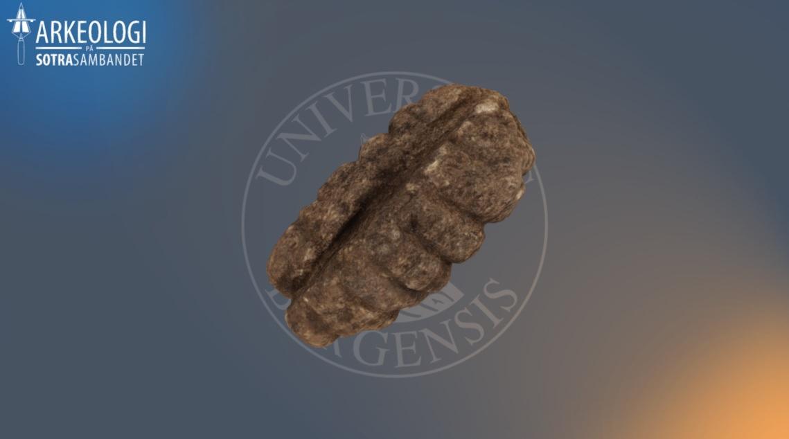 Sketchfab fiskesøkke