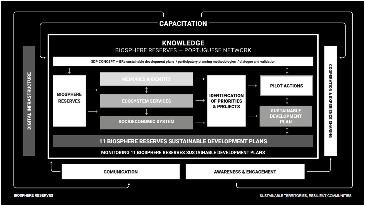 Project flow chart