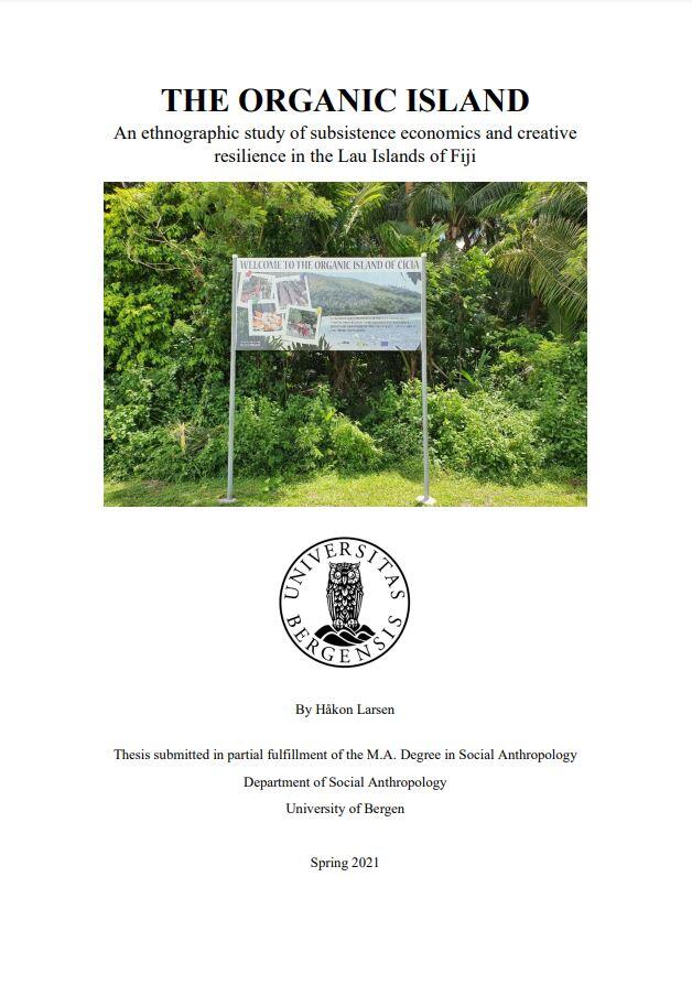 Front page master's thesis