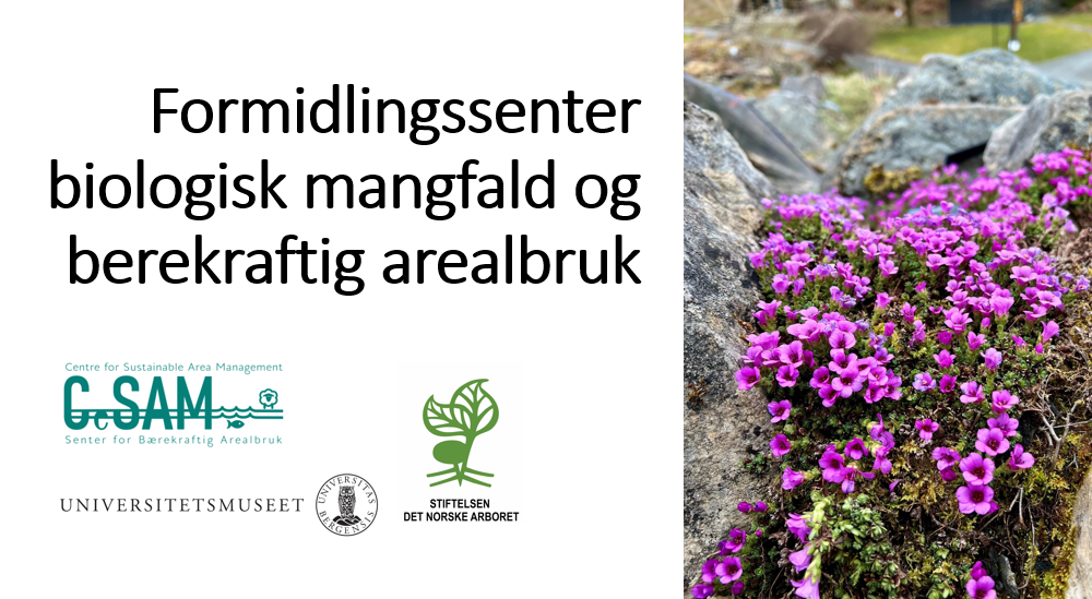 raudsildre og logoer