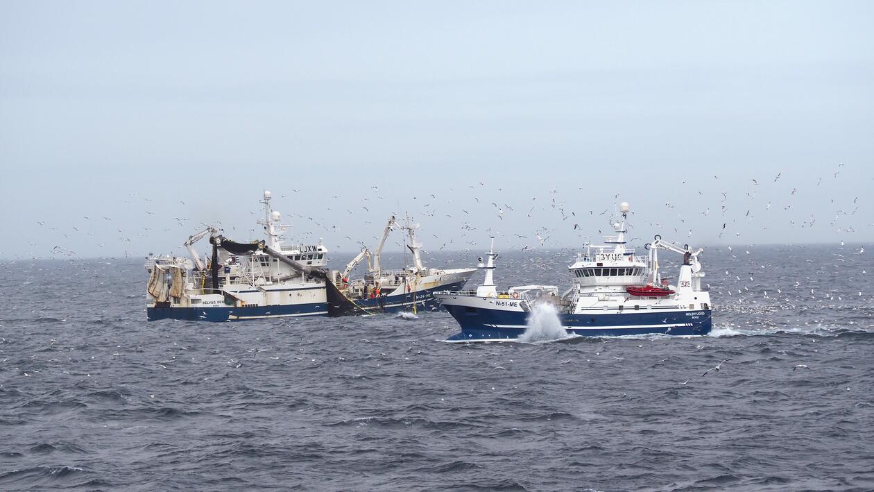 Norges makrellfiskeflåte har fått doblet karbonfotavtrykket og drivstoffeffektiviteten satt 15 år tilbake av Brexit.