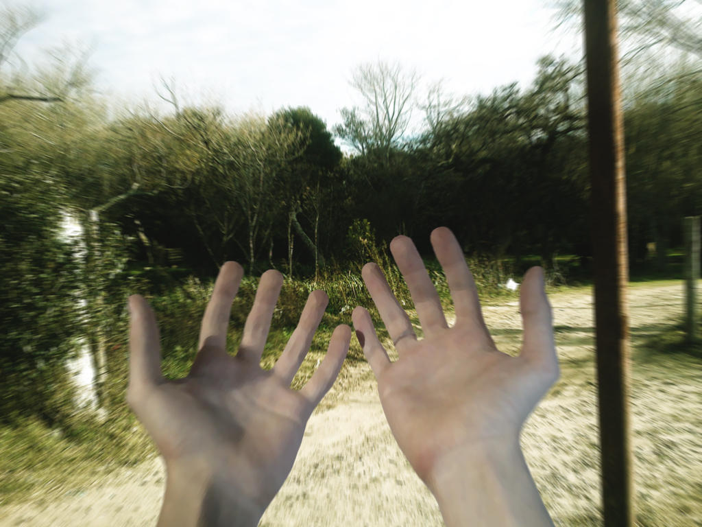 Bilde av innsiden av to hender mot en sløret bakgrunn
