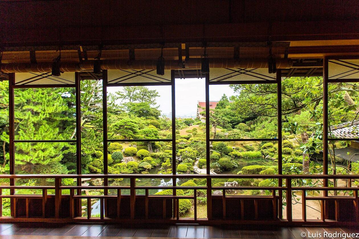 Japanese garden seen from inside a house
