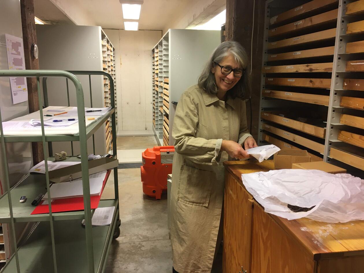 Professor Gitte Hansen