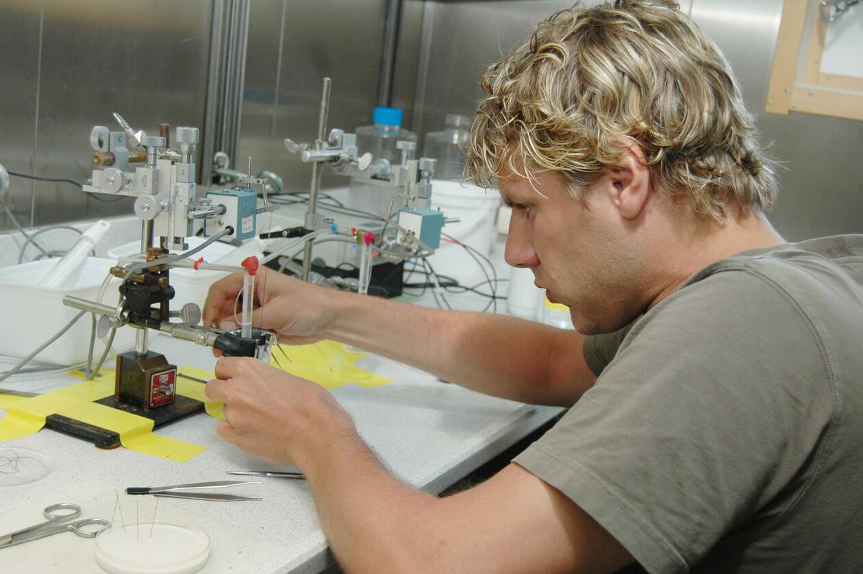 Student studerer fiskehjerter under mikroskop på forskningsskipet G. O. Sars.
