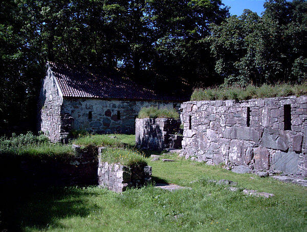 The ruins of Halsnøy abbey