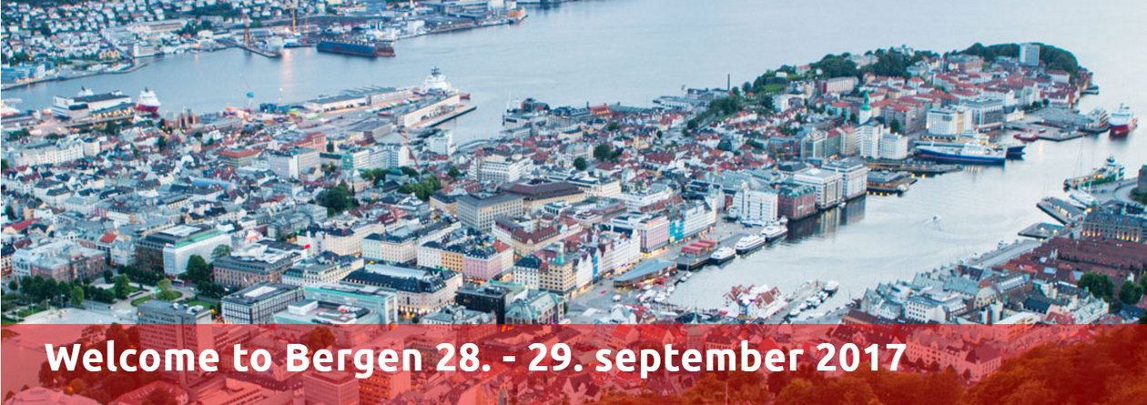 view over Bergen city