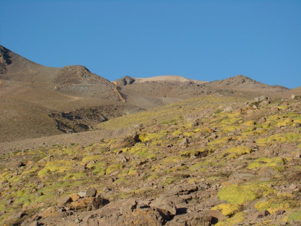 Rocky plateau with sparse low-stature vegetation