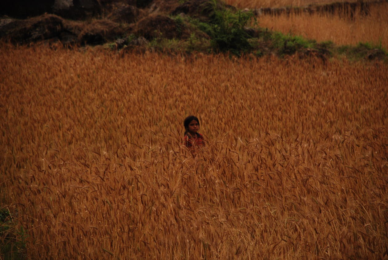 Girl in field, Himalaya