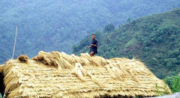 A man on top of a building in the Himalaya making a roof from straw