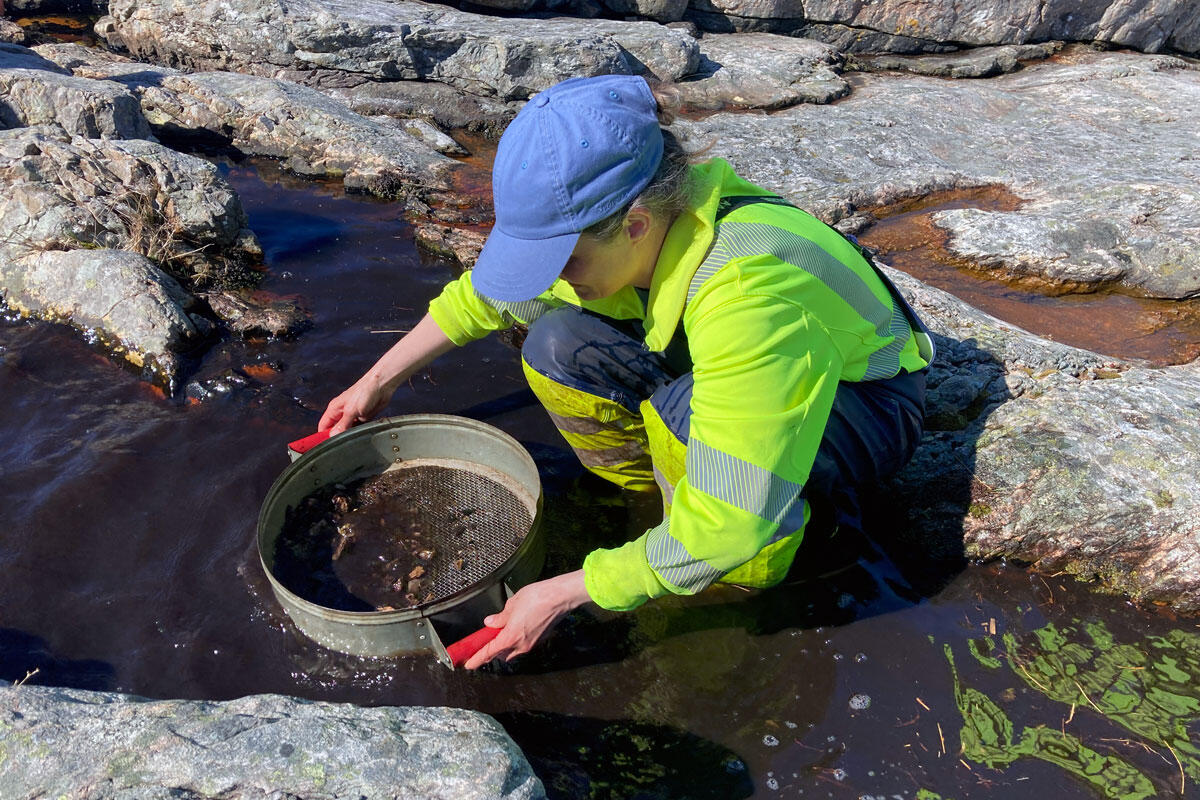 Arkeologisk feltarbeid på Hjartøyna i Øygarden