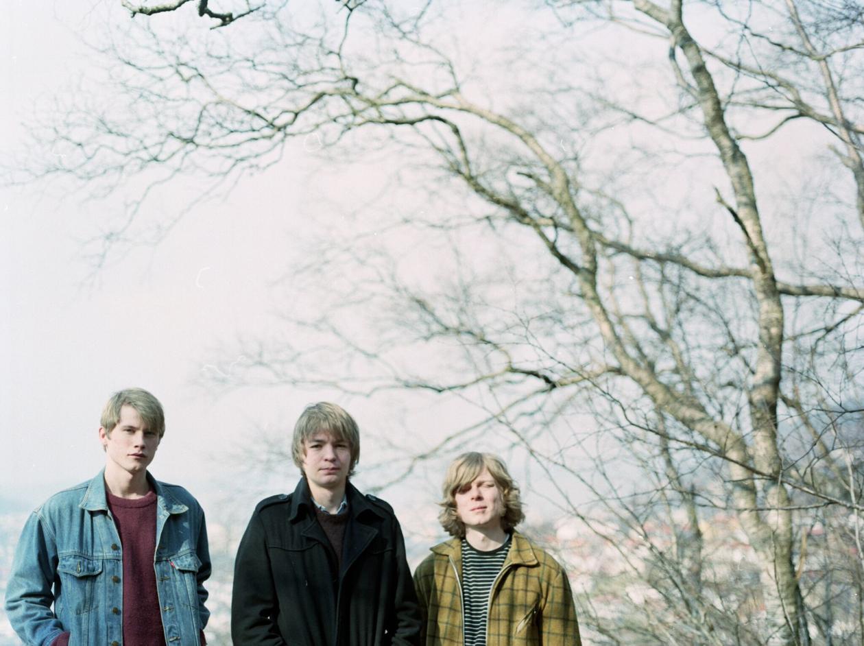 tre menn med bjørketrær i bakgrunnen